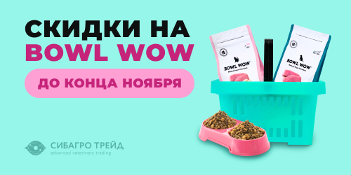 Скидки на BOWL WOW до конца ноября