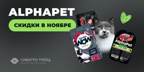 Скидки в ноябре на Alphapet