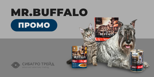 Промо на MR. BUFFALO   